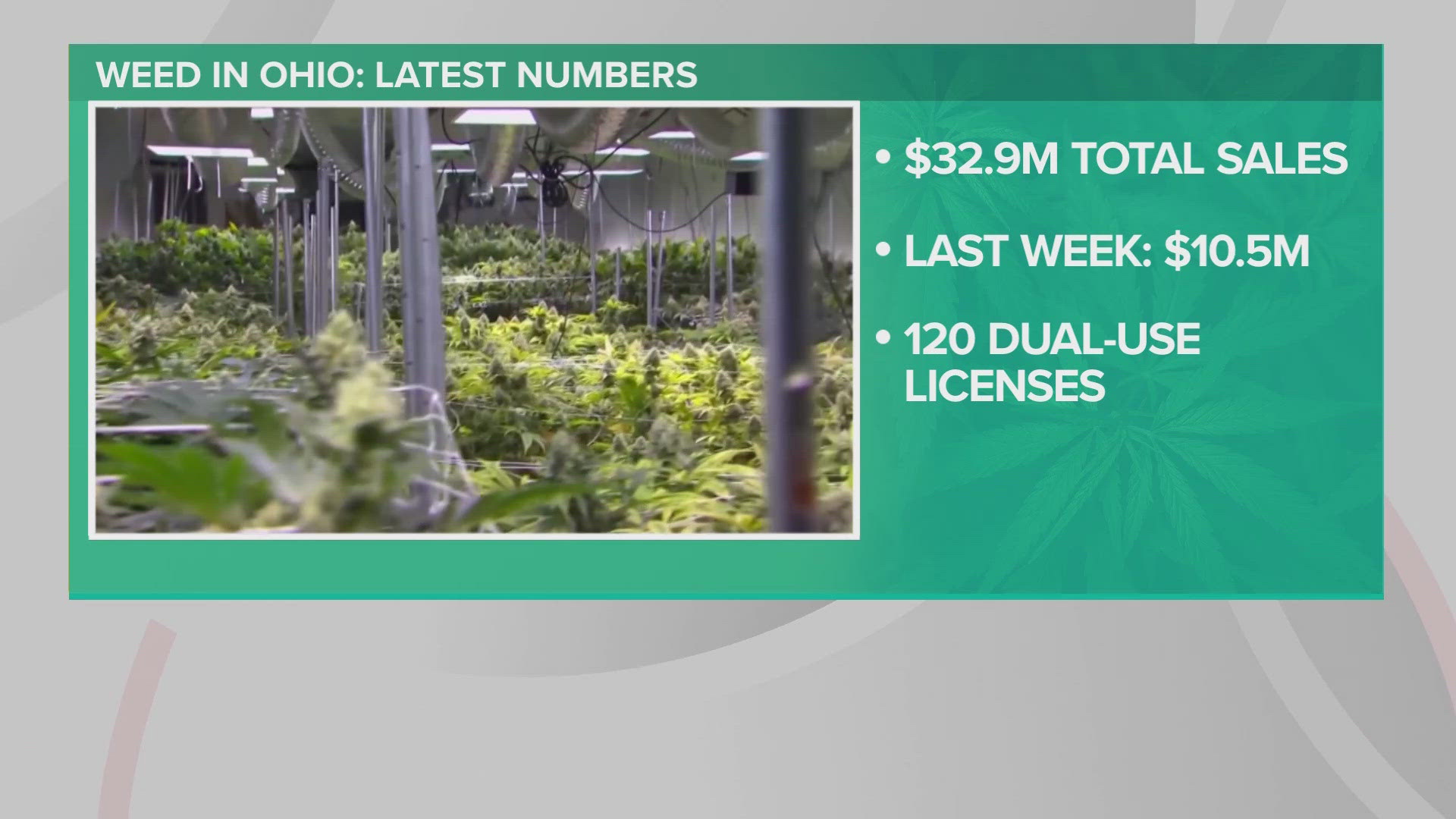 The Ohio Division of Cannabis Control has reported $32,967,100 in total recreational cannabis sales since recreational cannabis sales began in the Buckeye State.