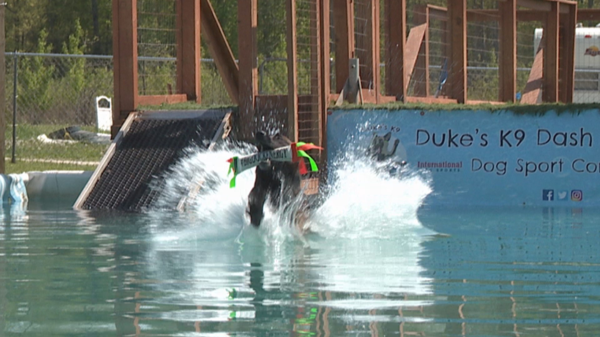 Duke's K9 Dash N' Splash in Windham What to expect