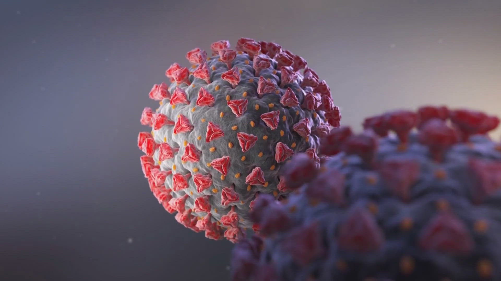 According to the department, levels of the virus have more than tripled from their baseline average, indicating 'a strong likelihood of increased community spread.'