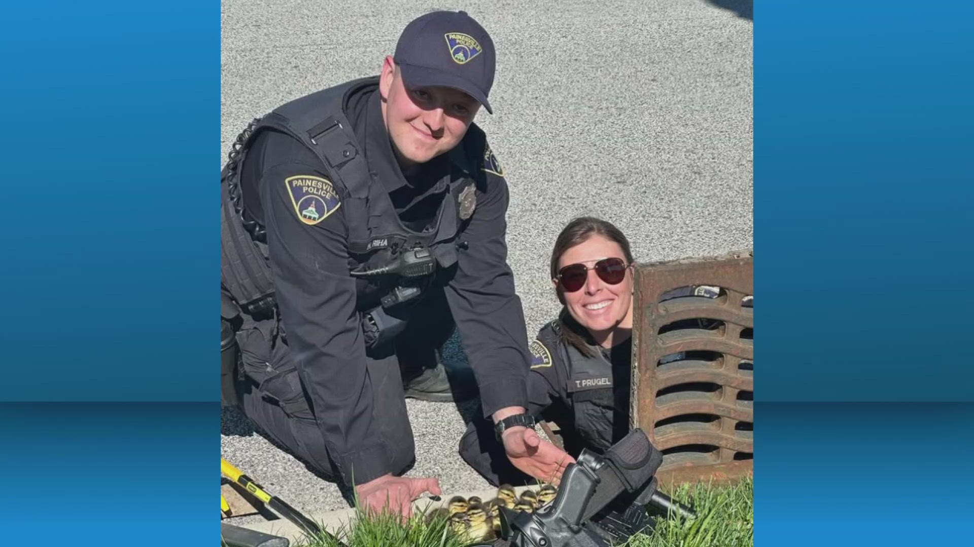 Painesville police officers rescue ducklings from storm sewer | wkyc.com