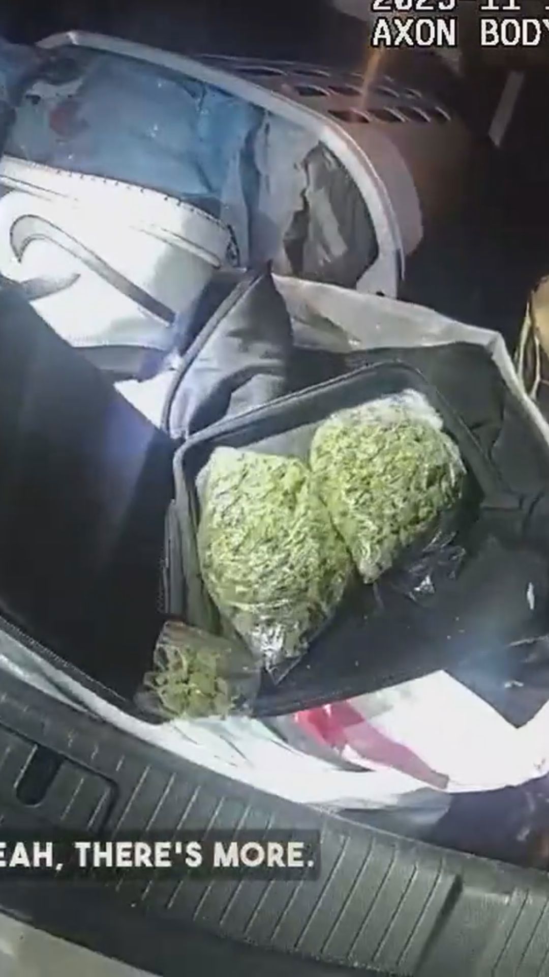 Traffic stop leads to drug trafficking arrest in Florida | wkyc.com
