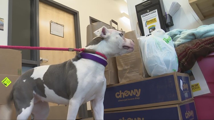 De-Stuff the Kennel:' Give a Cleveland kennel dog a home this