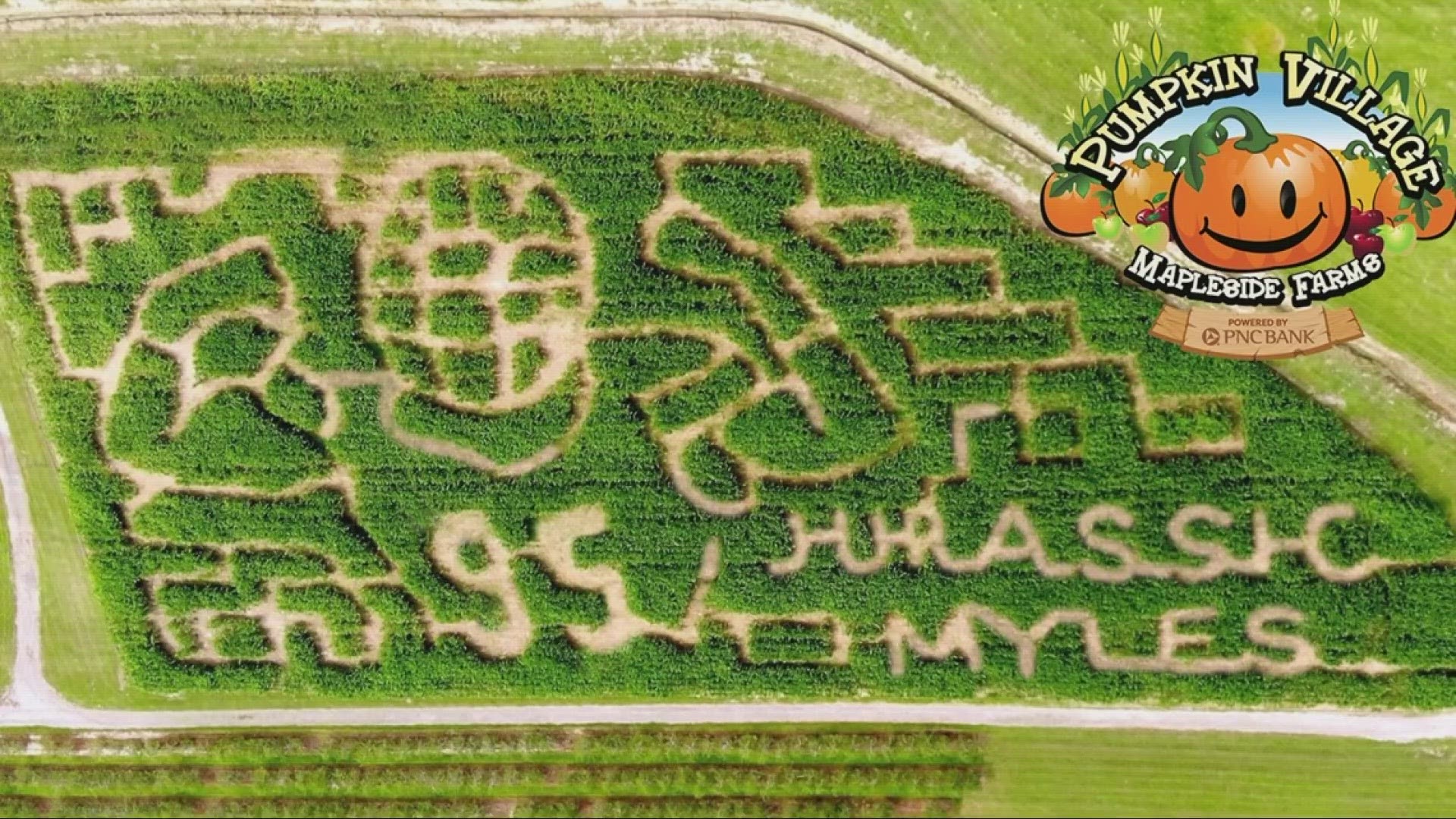 The 'Jurassic Myles' corn maze can now be experienced on the grounds of Mapleside Farms in Brunswick.