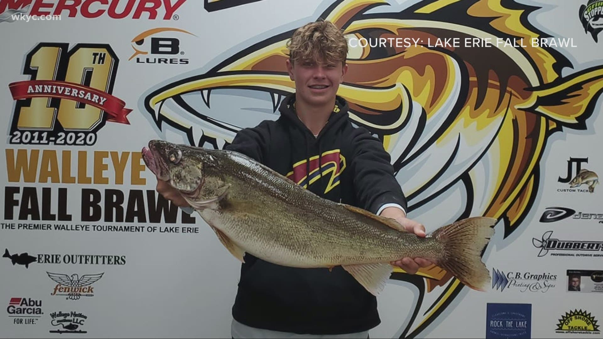 25+ Lake Erie Walleye Fishing Reports
