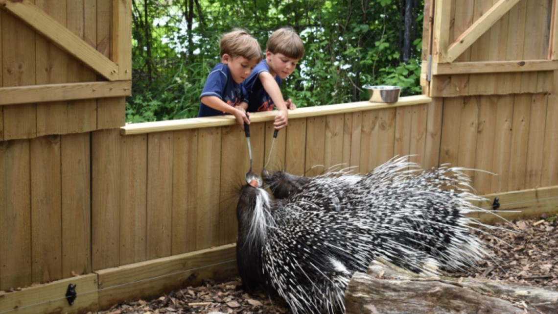 African Safari Wildlife Park reopening popular attractions | wkyc.com