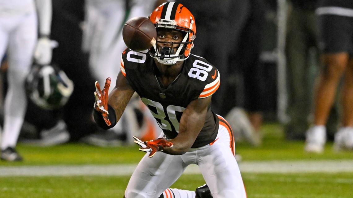 Cleveland Browns cut WR Austin Watkins Jr.