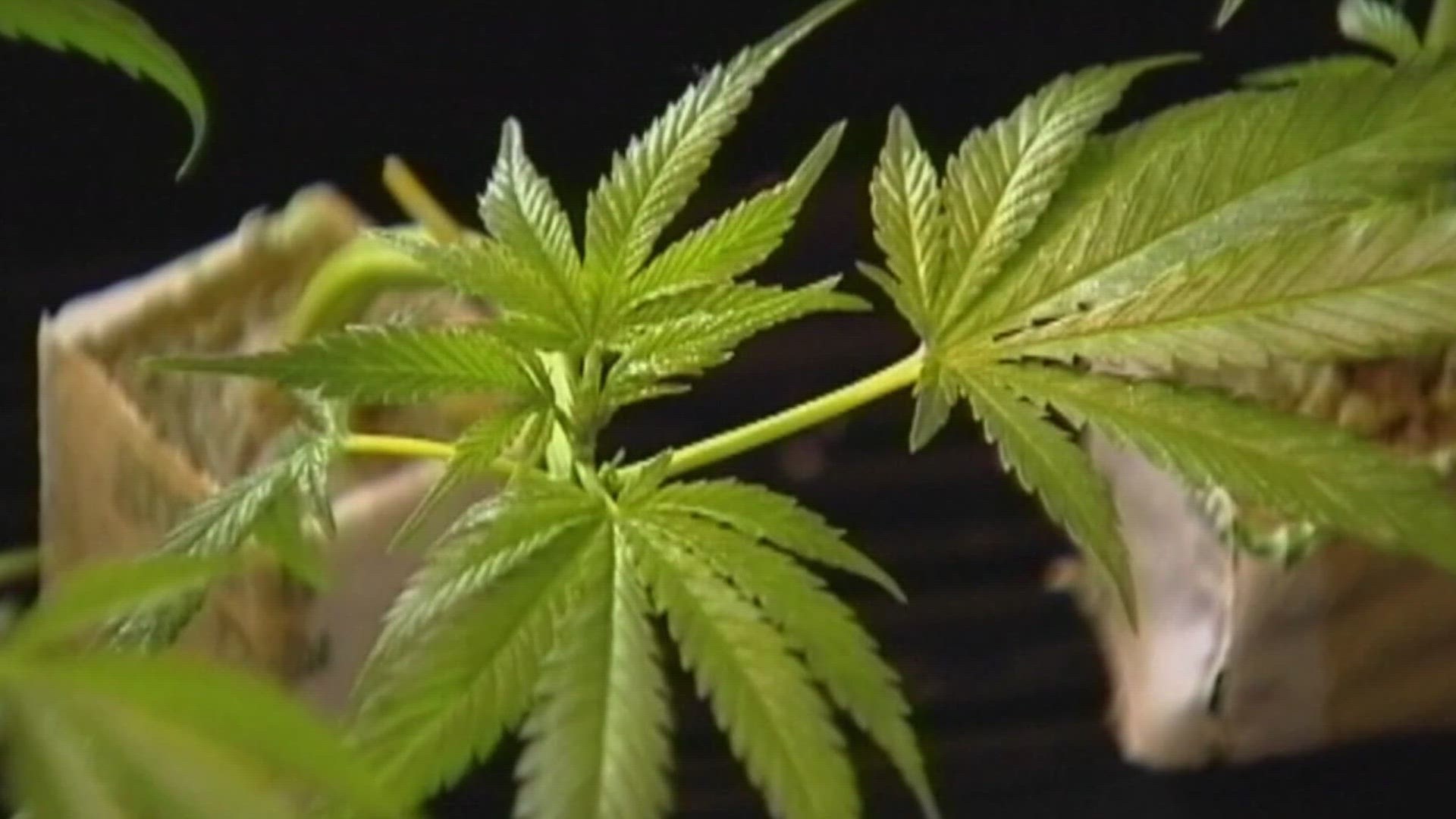 Just days before Issue 2 takes effect, there are some proposed changes being made to the new recreational marijuana law in Ohio.