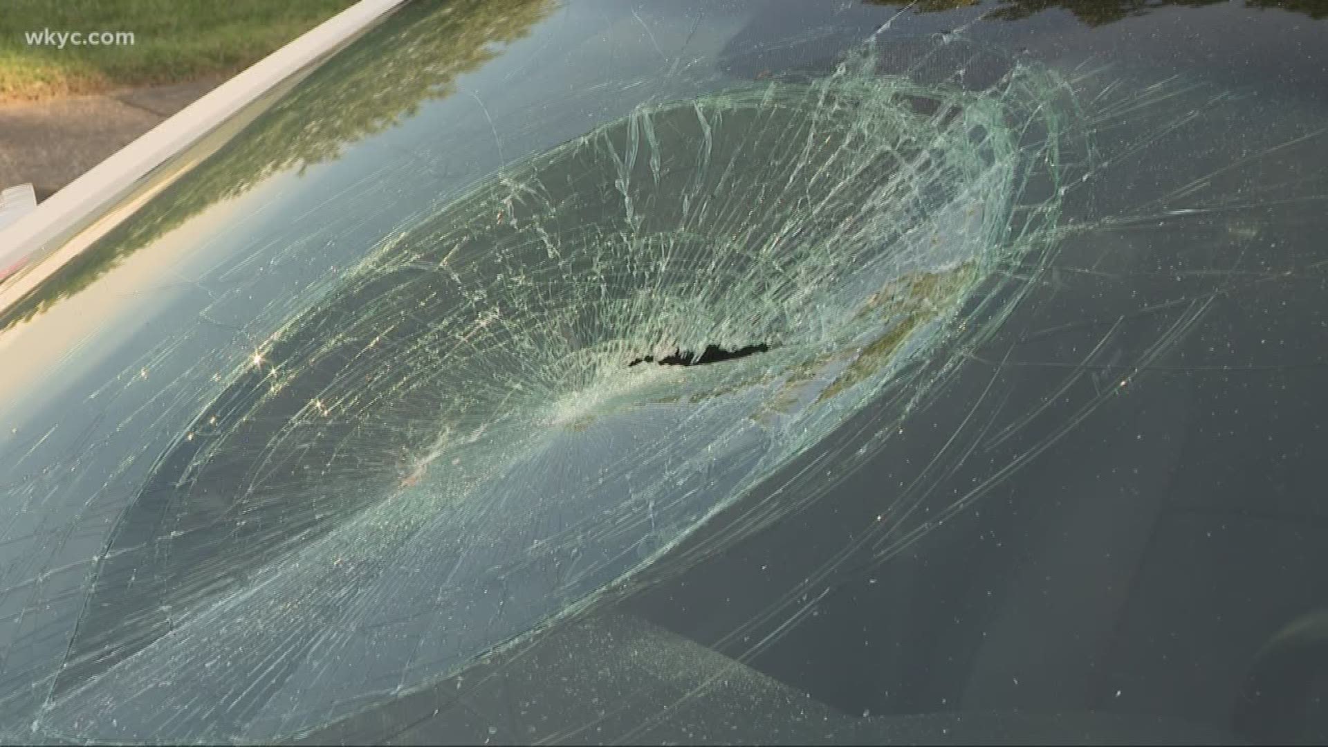 Vandals hit with rocks in North Ridgeville, WKYC's Dawn Kendrick reports.