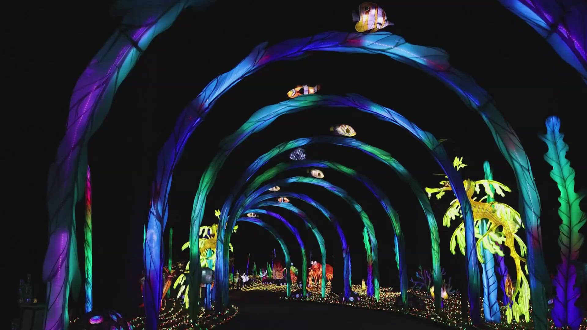 This year's event begins on July 5 and runs through Aug. 24.