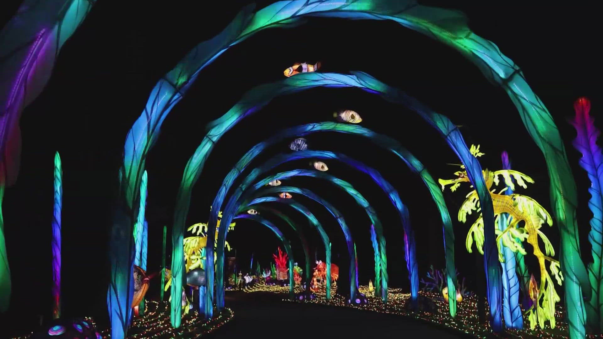 The zoo also announced the return of Wild Ride, a one-night event where guests can ride their bike through the zoo after hours and get one last look at the displays.