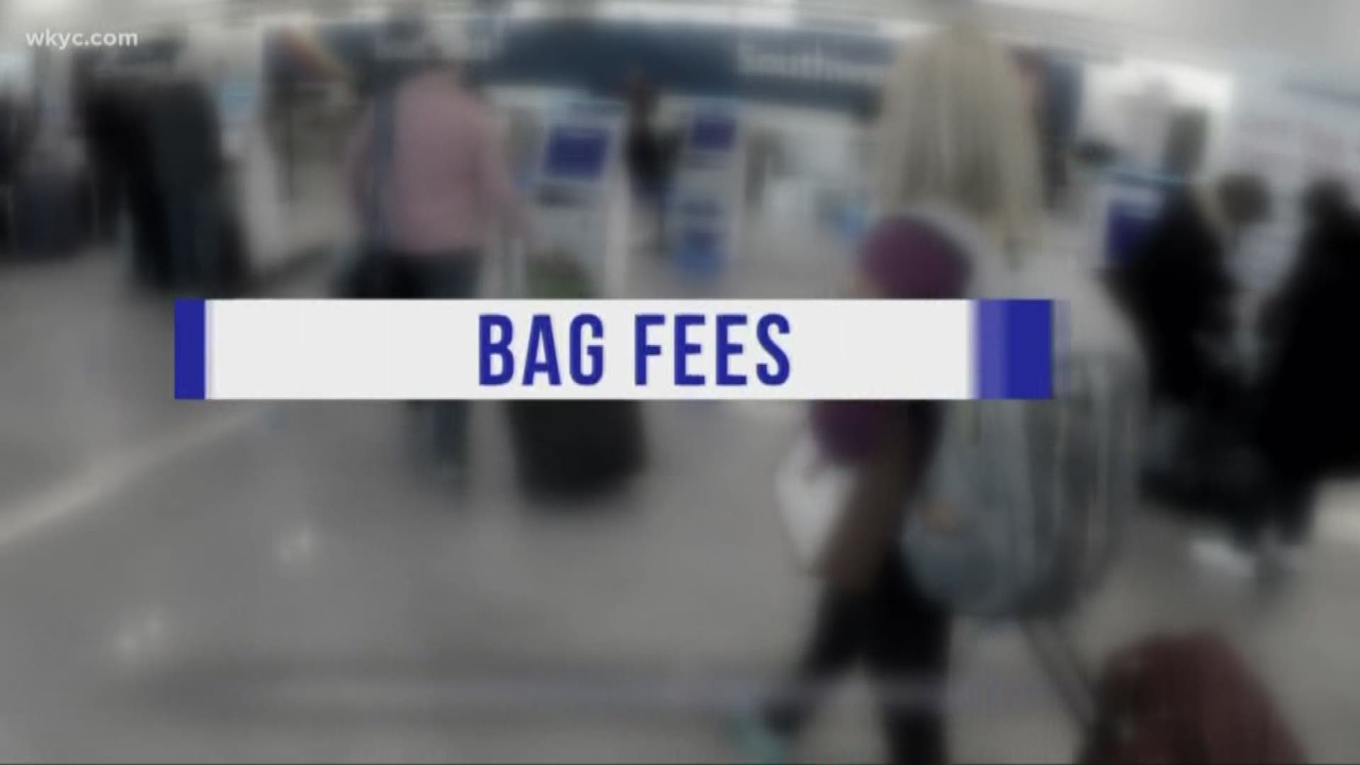 Are you being overcharged for you bags?