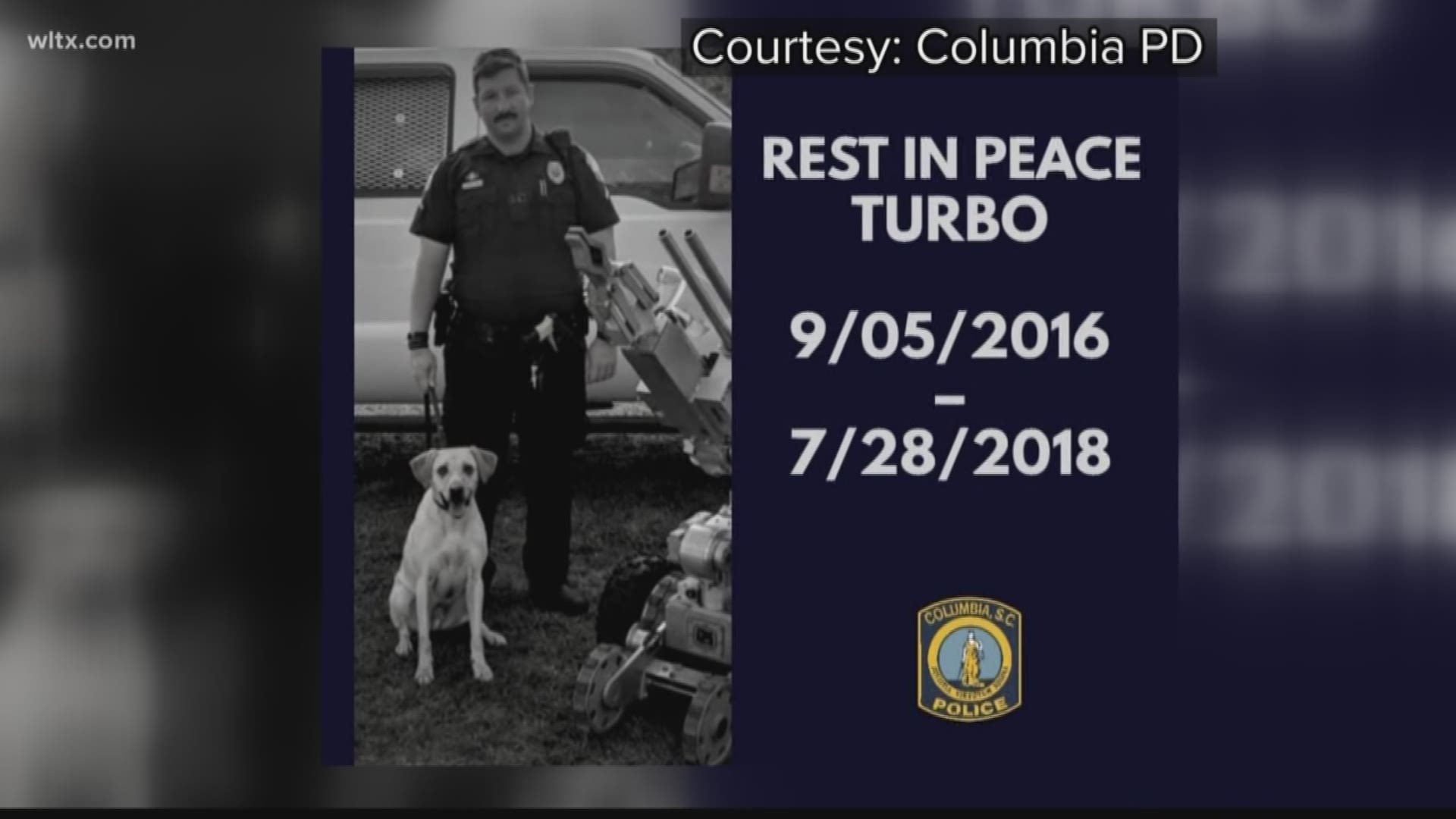 Tonight....Columbia Police say a k-9 dog that died earlier this year....was left in a vehicle for several hours in the heat.  Chief Skip Holbrook says mistakes were made that led up to the animal's death...resulting in an officer's suspension.