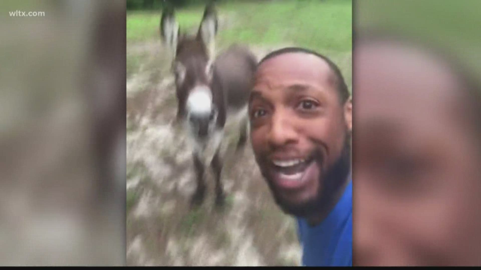 Nathan hadn't sung before, but now there's no stopping the 3-year-old donkey. More: https://on.wltx.com/2ZggYhb