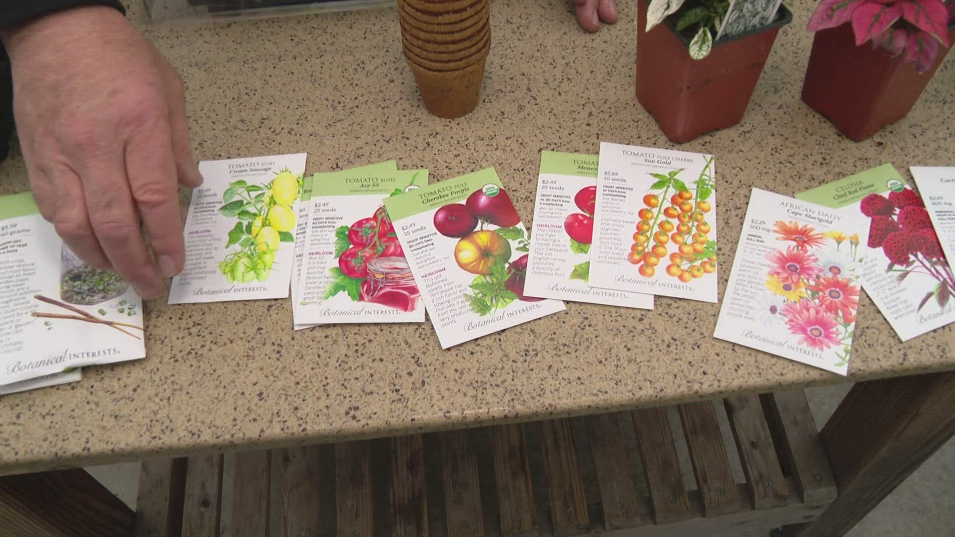 Pat Sullivan joined 13Sunrise to share his tips on how you should go about planting seeds this year.