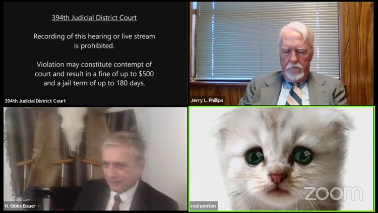 'Cat lawyer' says he got a big laugh out of Zoom mishap just like the rest of the world