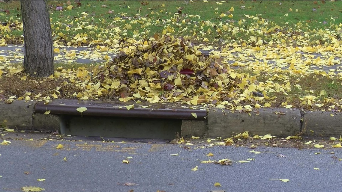 Cleveland leaf pickup program