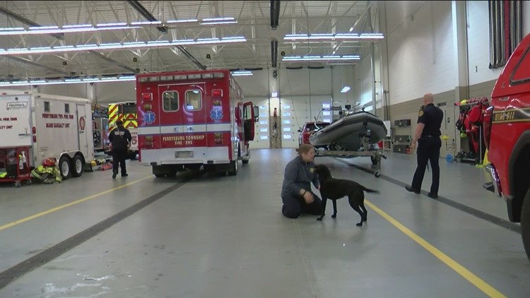 Canine care: Perrysburg Twp. fire station dog comforts first responders