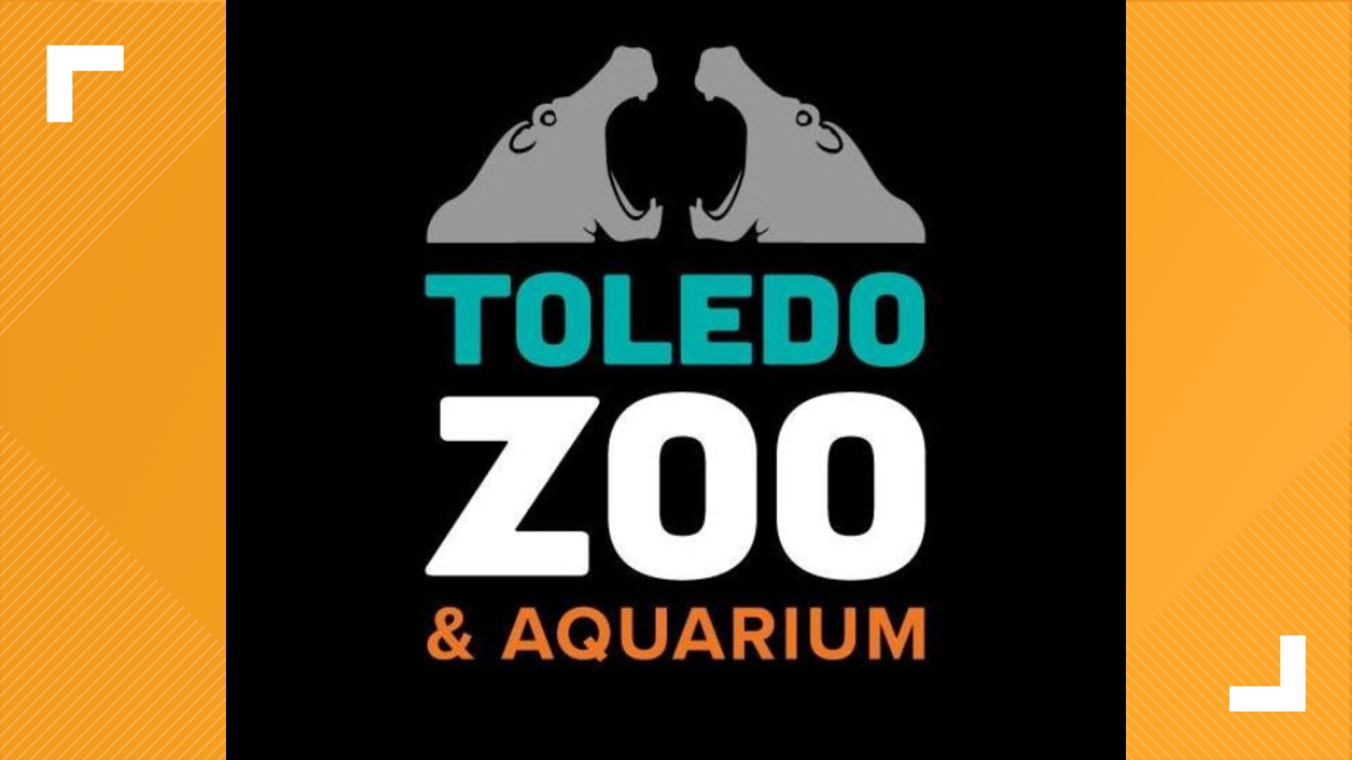 Oh, and if you're a momber, it's free. Toledo Zoo is hiring, holding open interviews this week.