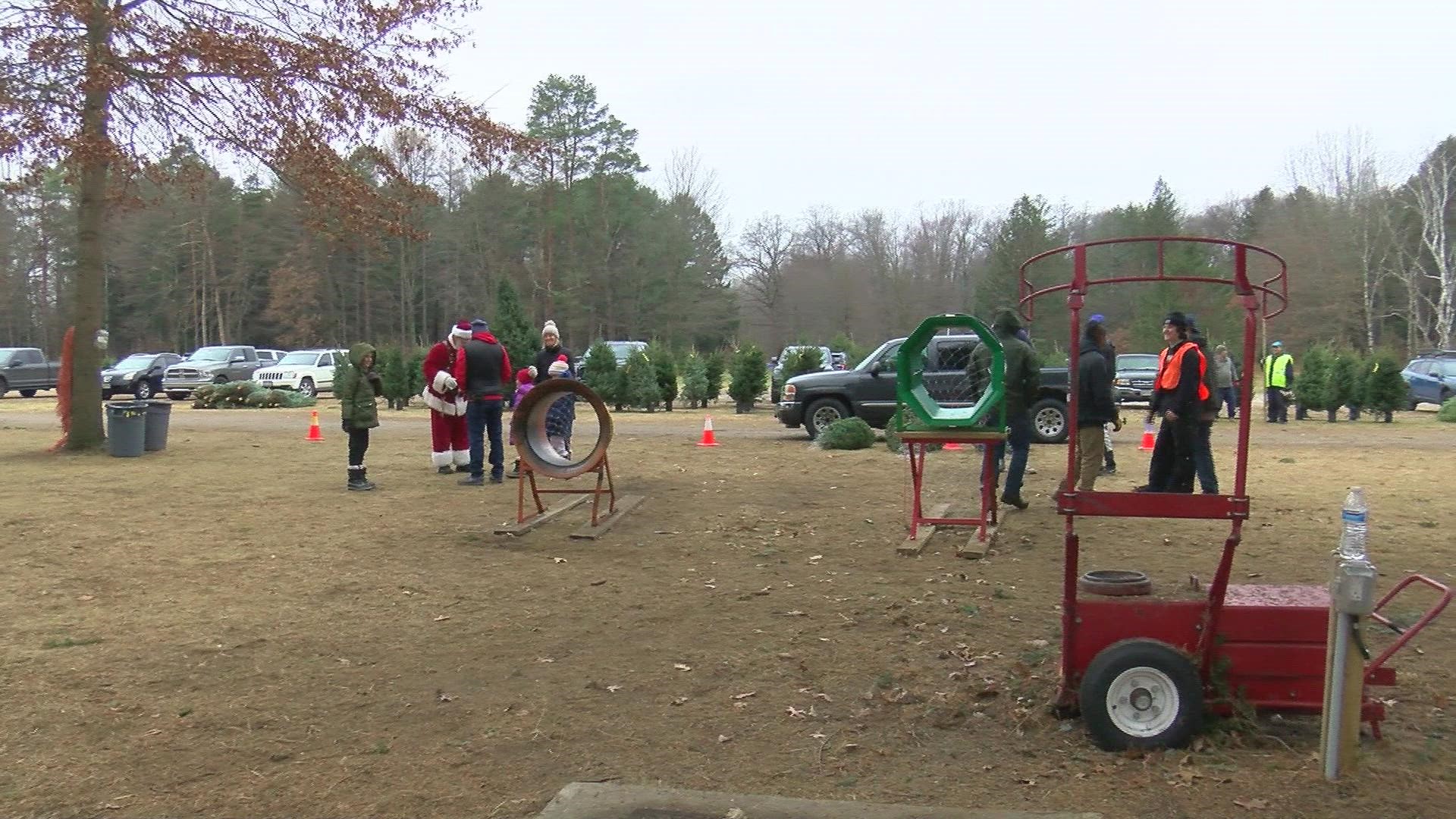 In an effort to allow more trees to grow for next year, the Whitehouse Christmas tree farm is closing up shop a little early this year.