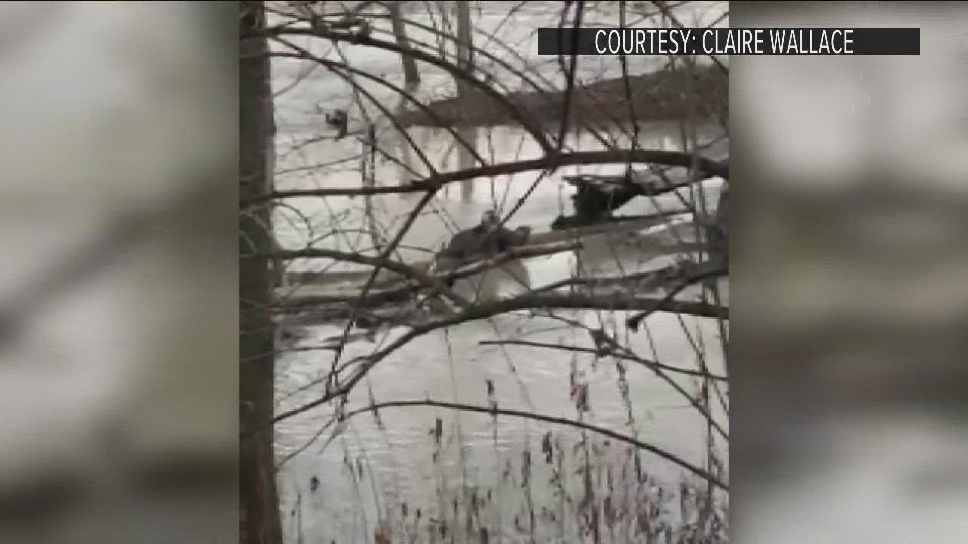Parkgoer Claire Wallace took video of two river otters at Providence Metropark.