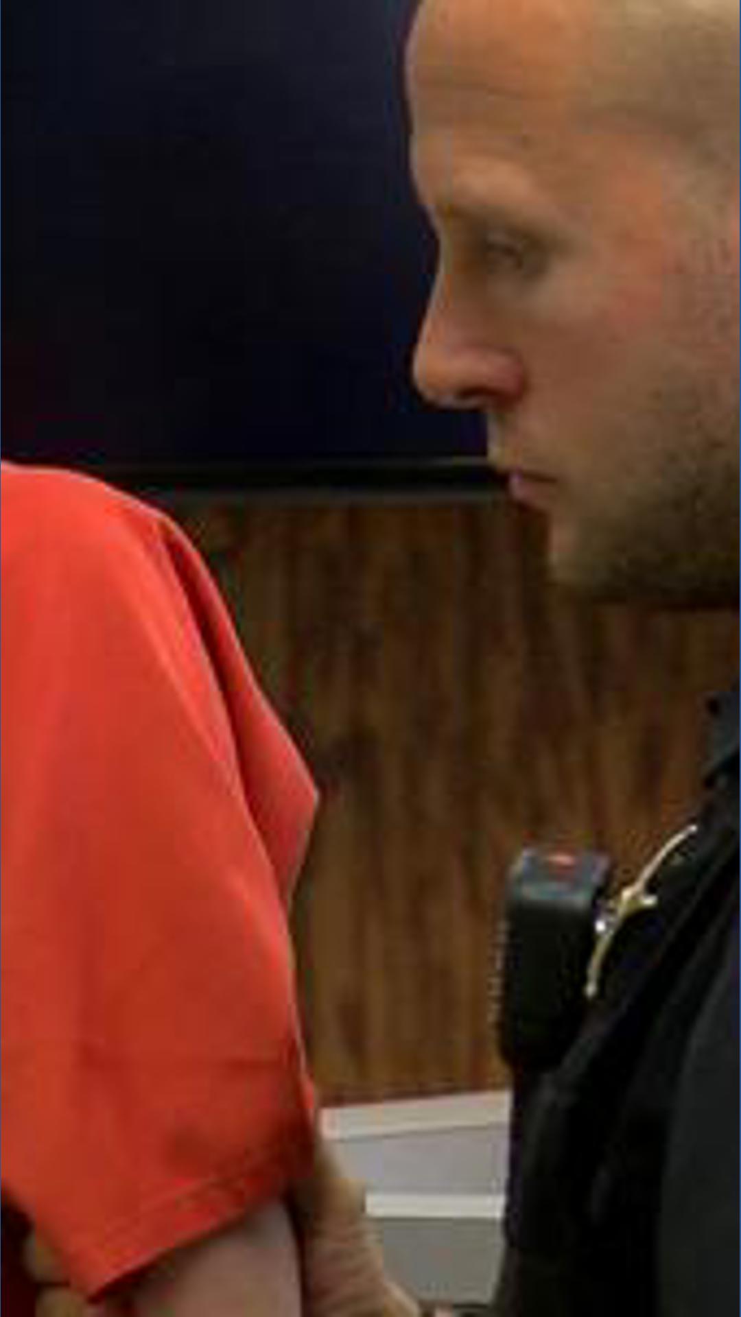 Man pleads not guilty to stabbing Sandusky County police officer; judge sets bond