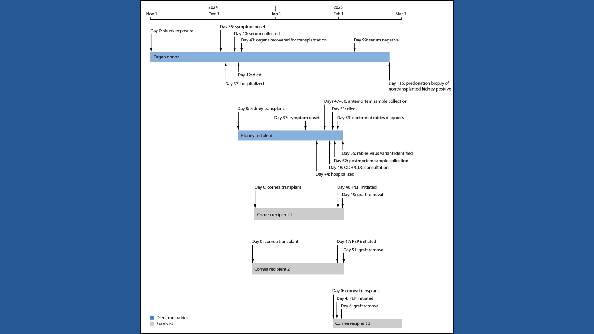 Cdc Rabies Flowchart New details from CDC show what led to fatal Toledo human rabies case ...