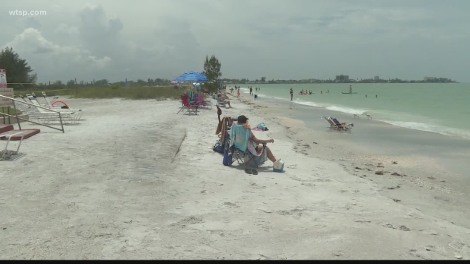 The director of parks and natural resources for Manatee County says this study doesn't apply to Florida beaches.