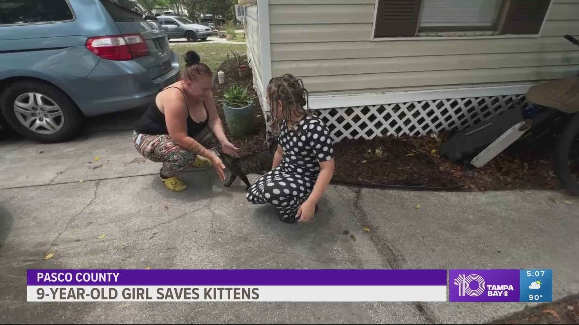 Olivia Rippeon says she saw kittens being drowned in Pasco County. Her family says she spoke up with the help of her mom, intervened and saved two of them.