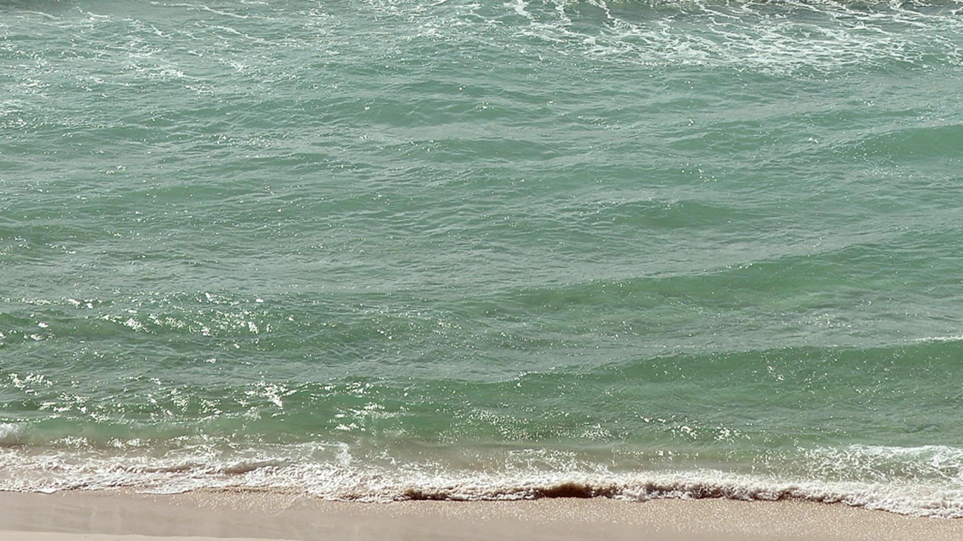 3 Alabama men die, likely drowned while swimming at Florida beach ...