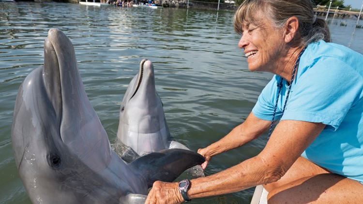Rescued dolphin thrives year after arriving in Florida Keys