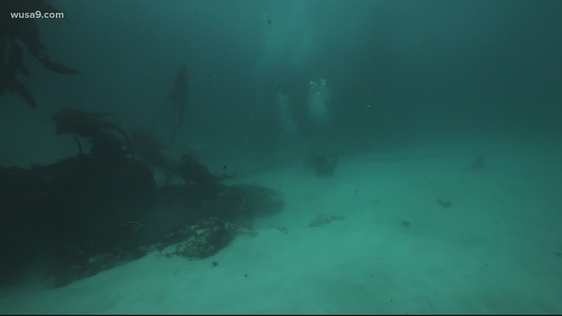 Slave Wrecks Project Shows Global Industry Of Slavery Wkyc Com