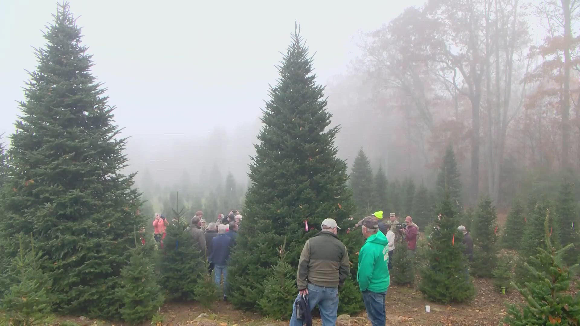 Until recently, the Cartner Christmas Tree Farm in North Carolina, where this tree was grown, was not reachable by road because of the damage done from Helene.