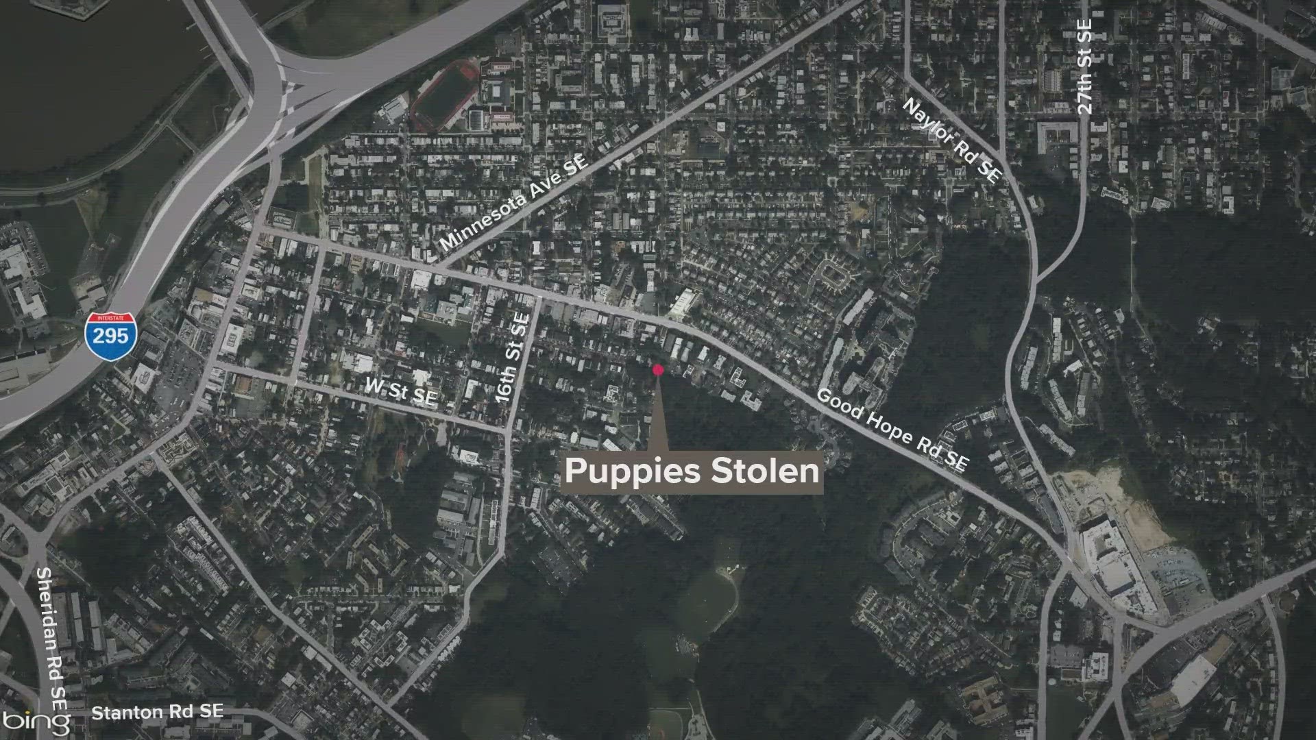 She turned the car on, loaded the puppies inside, and then went back into the house. When she came back outside, the car and pups were gone.