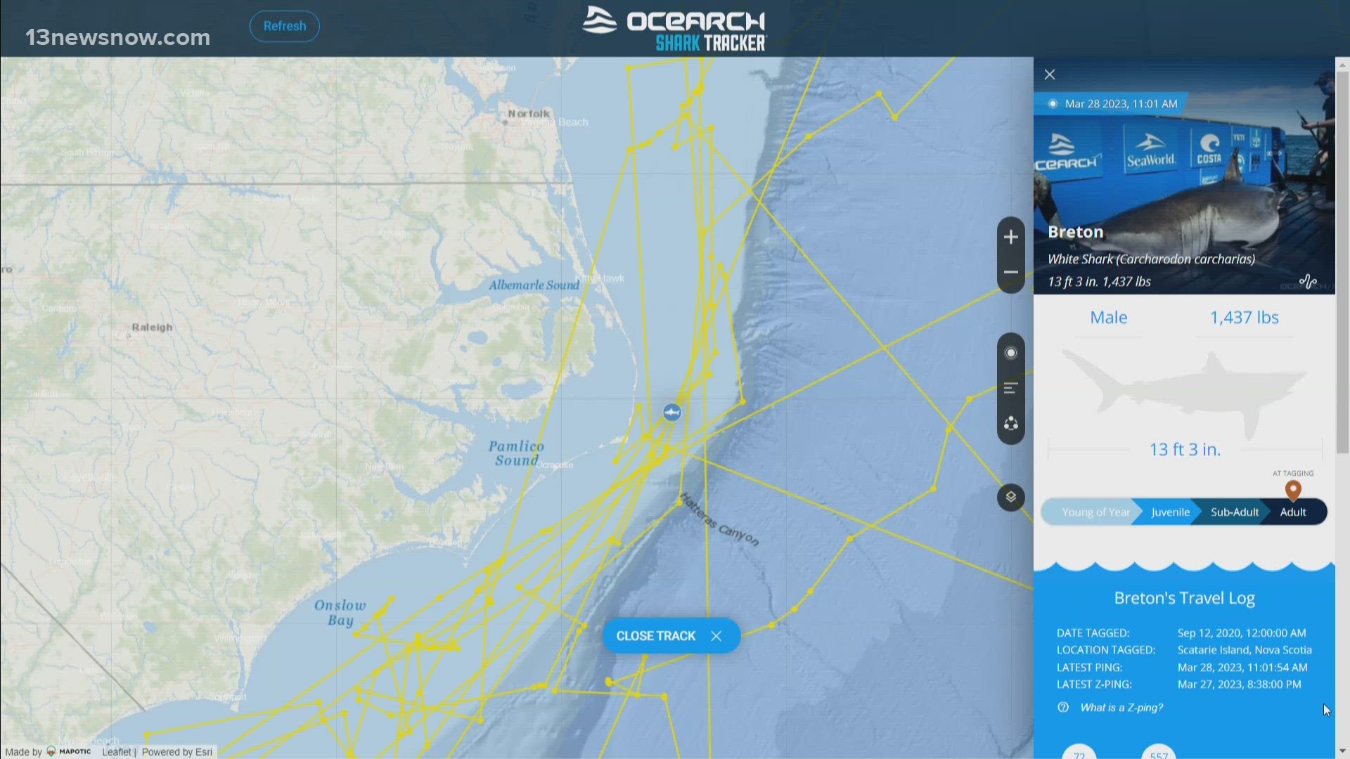 His name is Breton, a great white shark tracked by scientists at OCEARCH. He last pinged off the coast of Avon on March 28.