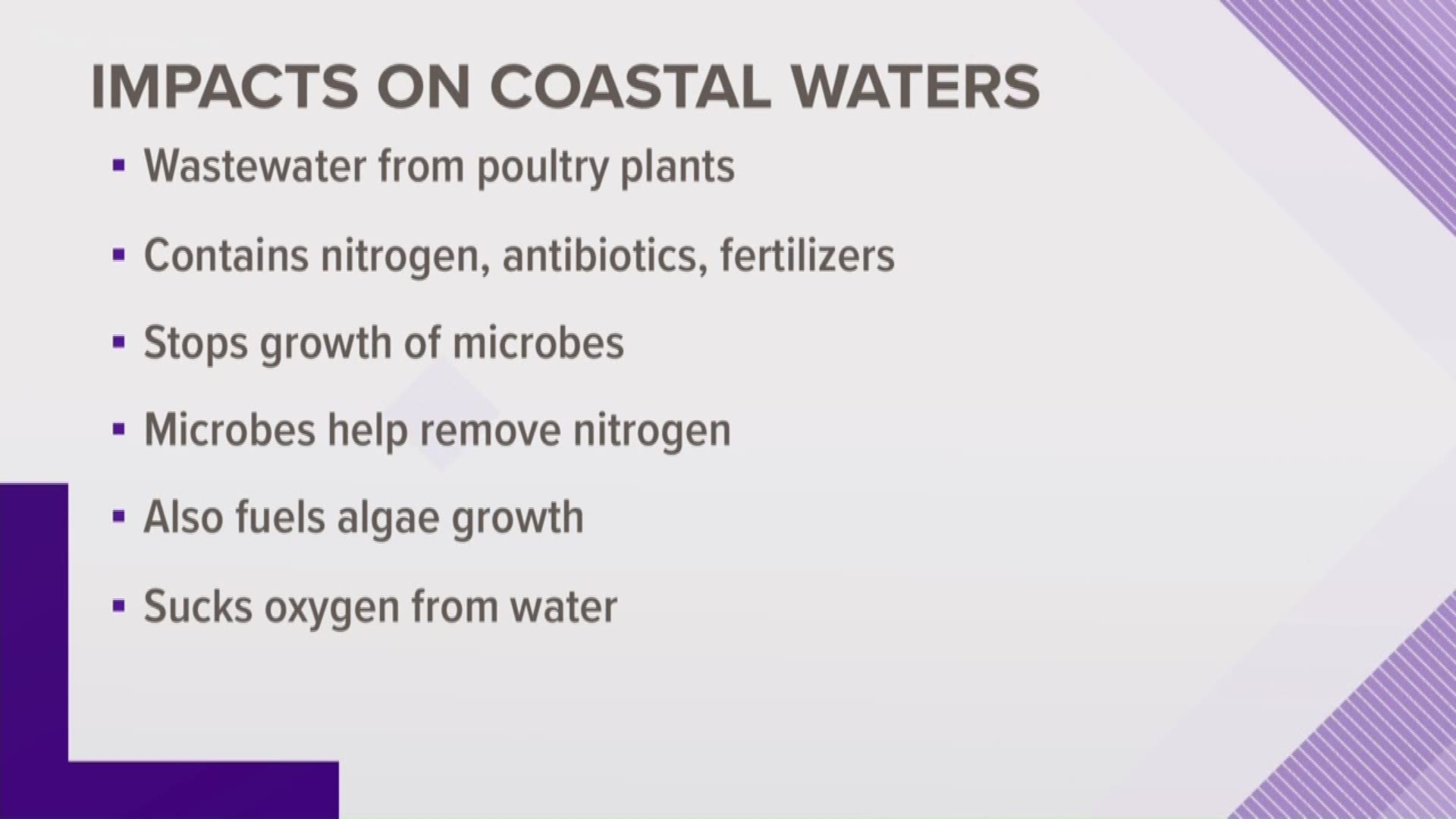 A new study from William & mary claims poultry plants are a "threat to coastal waters." It comes from the wastewater.
