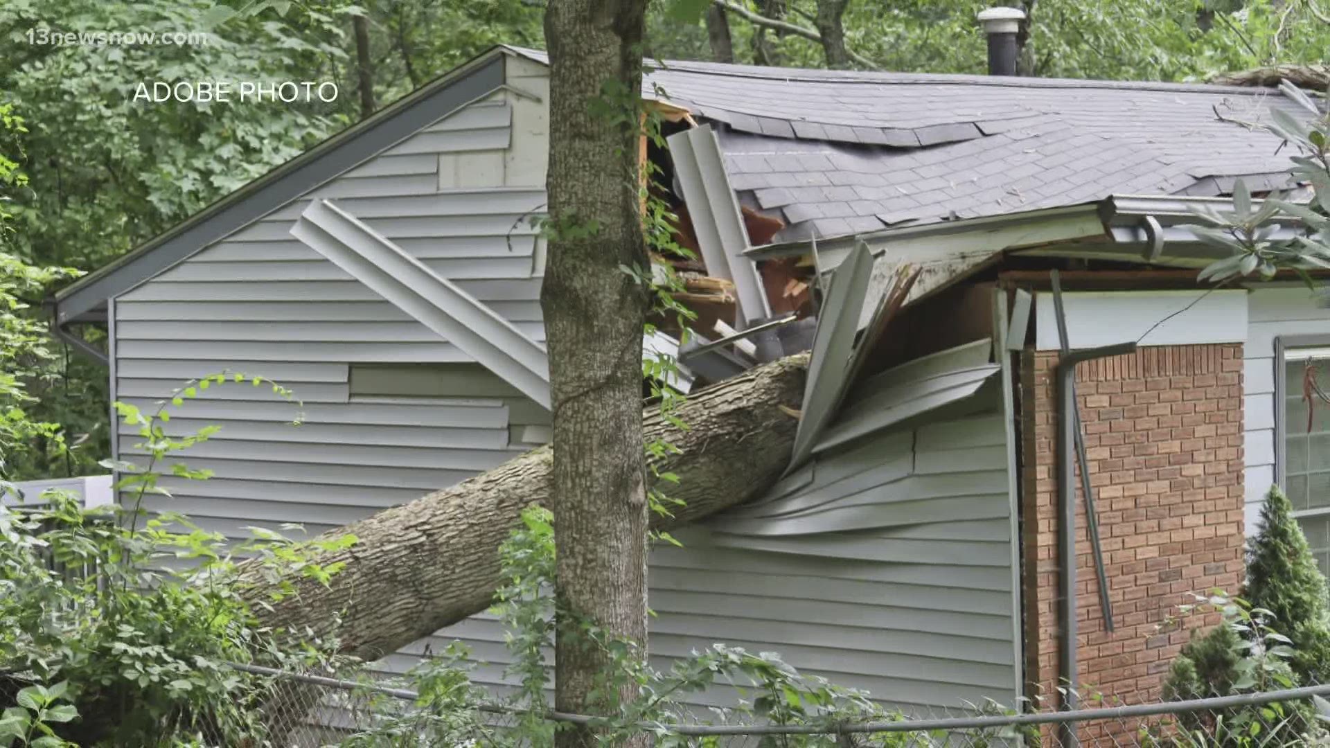 With Tropical Storm Elsa making its way up the East Coast, the Verify team looked into who is responsible for a toppled tree that lands on a home.