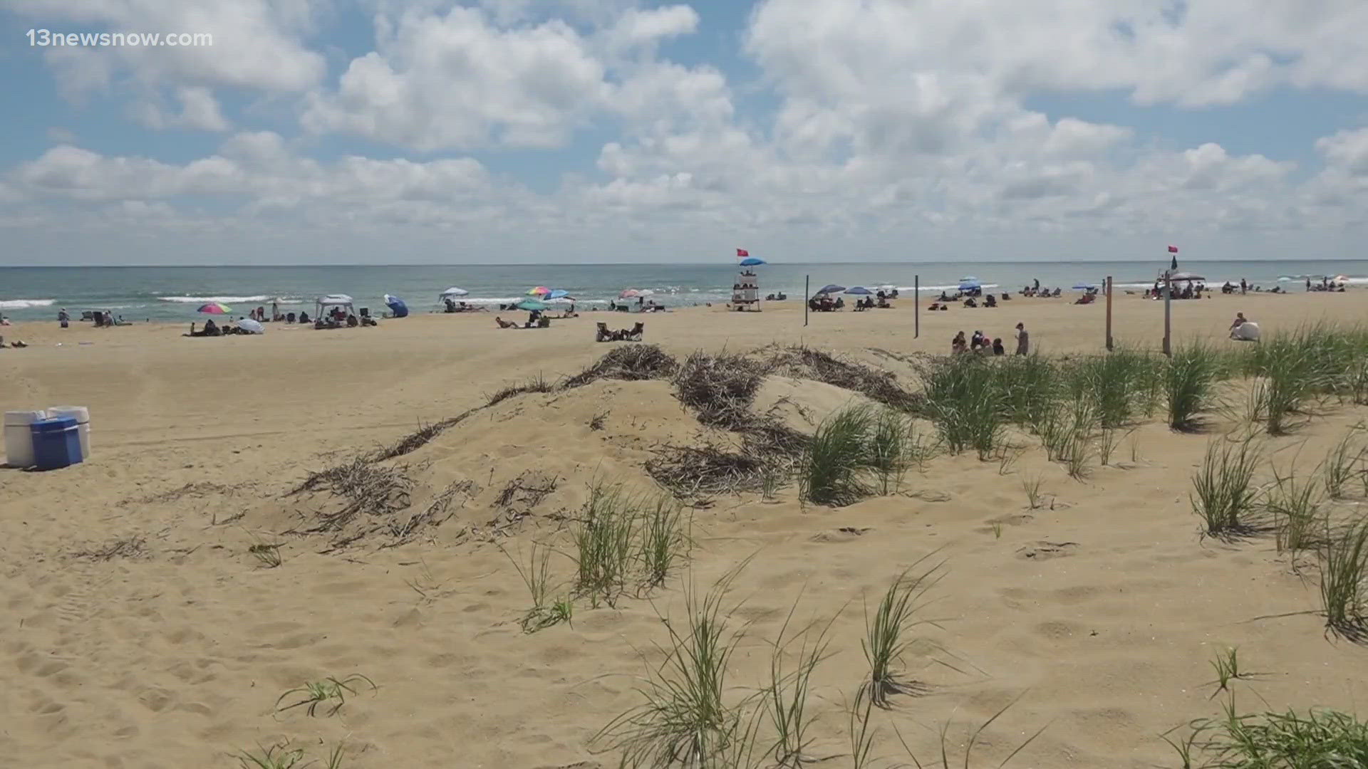 There's a mystery in the waters along Virginia Beach.