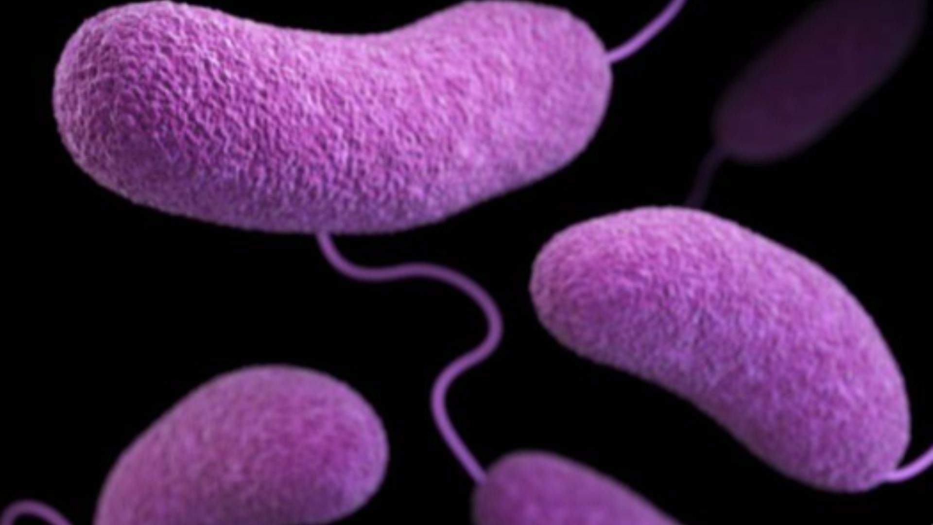 Five people die in Louisiana from flesh-eating bacterial infection