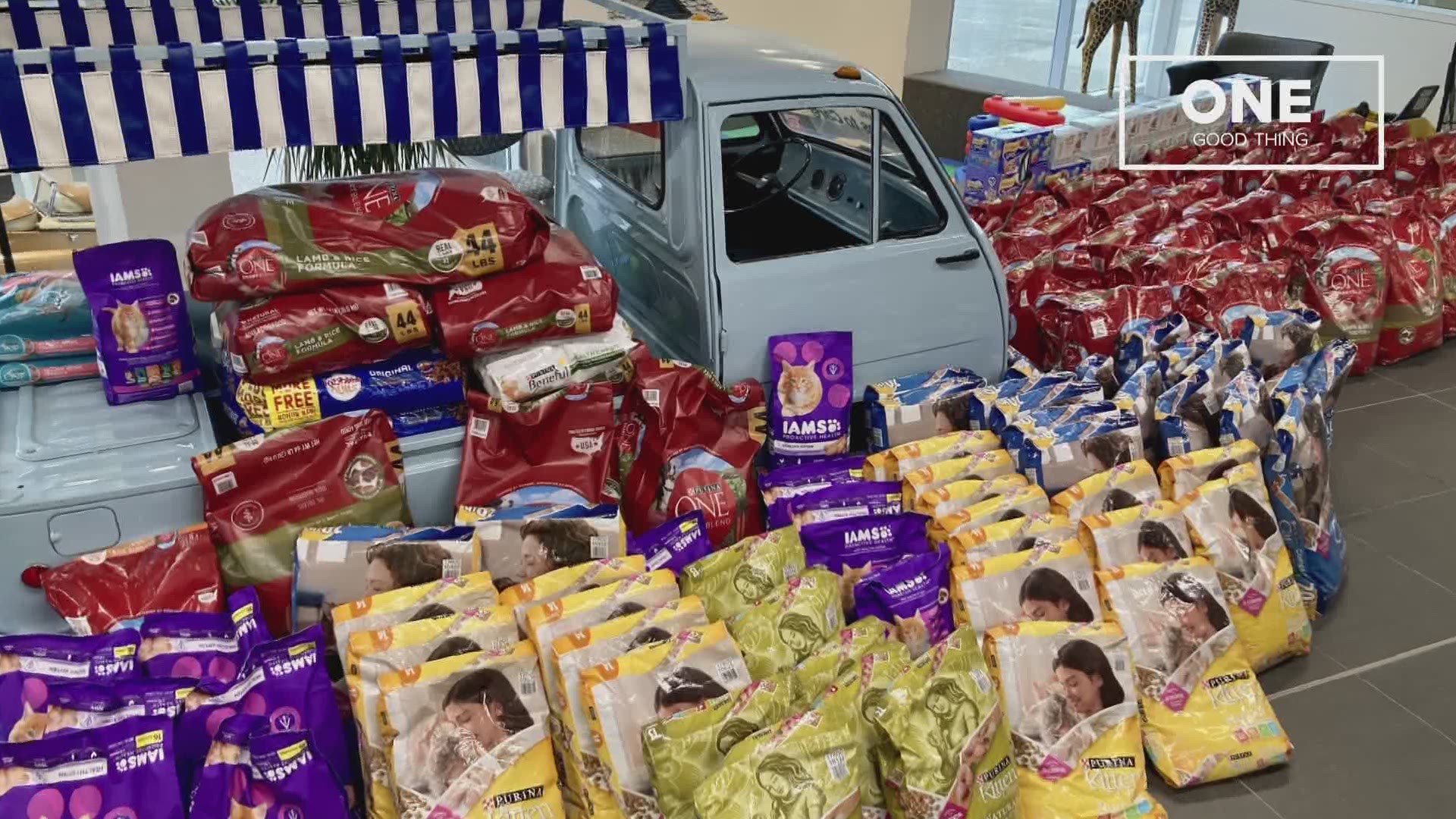 The annual pet food drive by Subaru of Muskegon and My Auto Import Center brought in just under a thousand dollars.